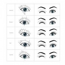 Lash Shapes